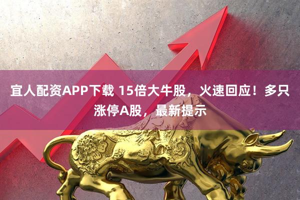 宜人配资APP下载 15倍大牛股,火速回应!多只涨停A股,最新提示