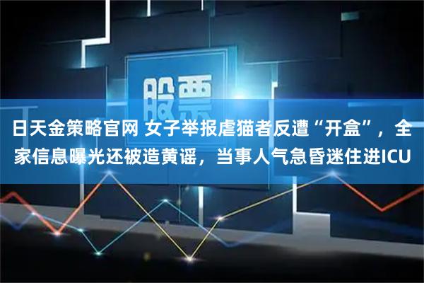 日天金策略官网 女子举报虐猫者反遭“开盒”，全家信息曝光还被造黄谣，当事人气急昏迷住进ICU