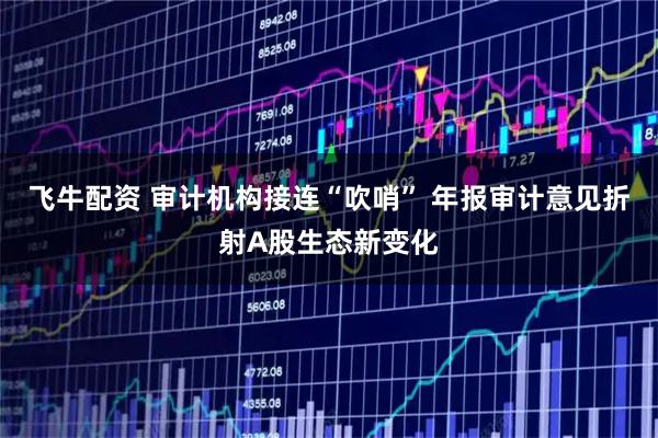 飞牛配资 审计机构接连“吹哨” 年报审计意见折射A股生态新变化