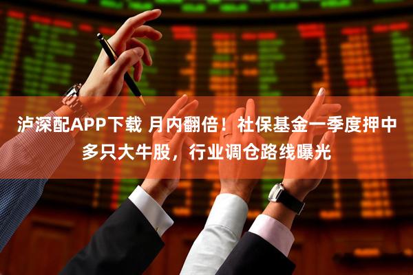 泸深配APP下载 月内翻倍！社保基金一季度押中多只大牛股，行业调仓路线曝光
